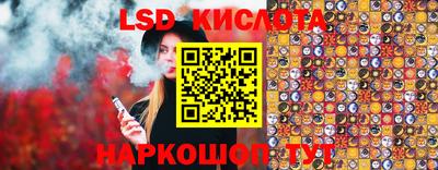 шишки Изобильный