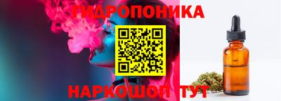 шишки Изобильный