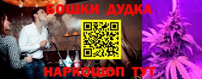 шишки Изобильный
