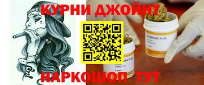шишки Изобильный