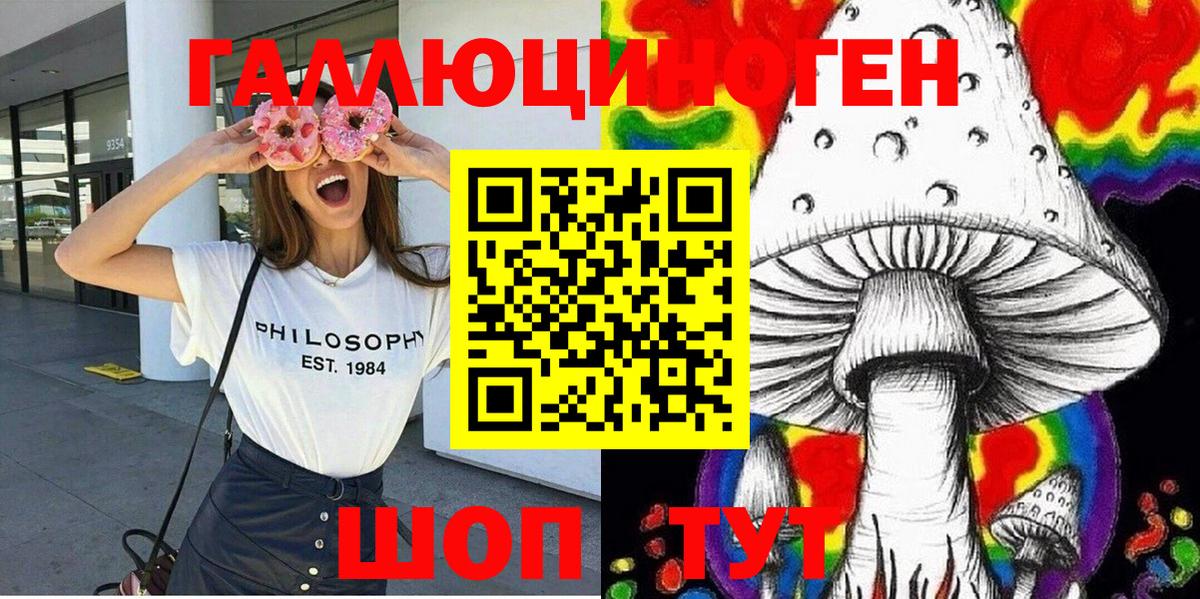 Галлюциногенные грибы Psilocybine cubensis Партизанск