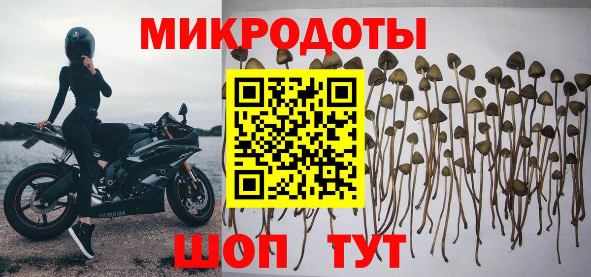 Псилоцибиновые грибы Magic Shrooms Партизанск