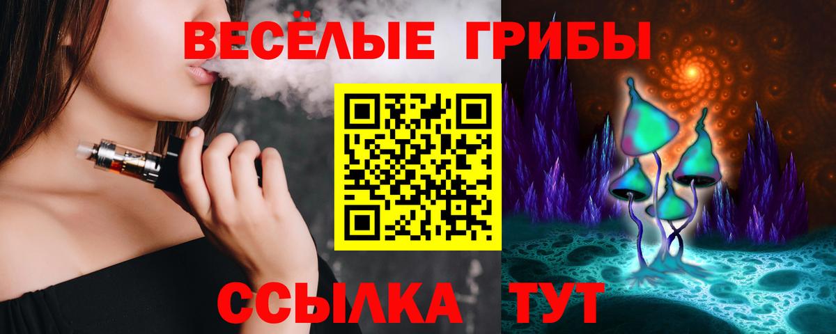 Галлюциногенные грибы Psilocybe  Вход с VPN  Партизанск  Галлюциногенные грибы прущие грибы 